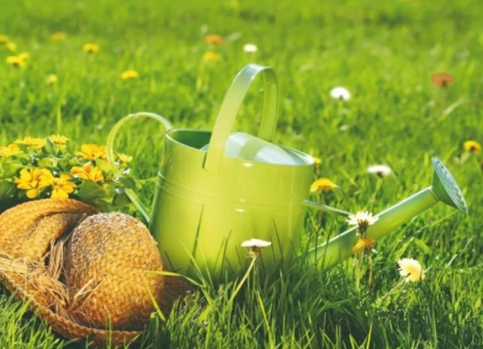 Un Dimanche à la Campagne