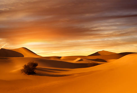 Les Dunes du Sahara