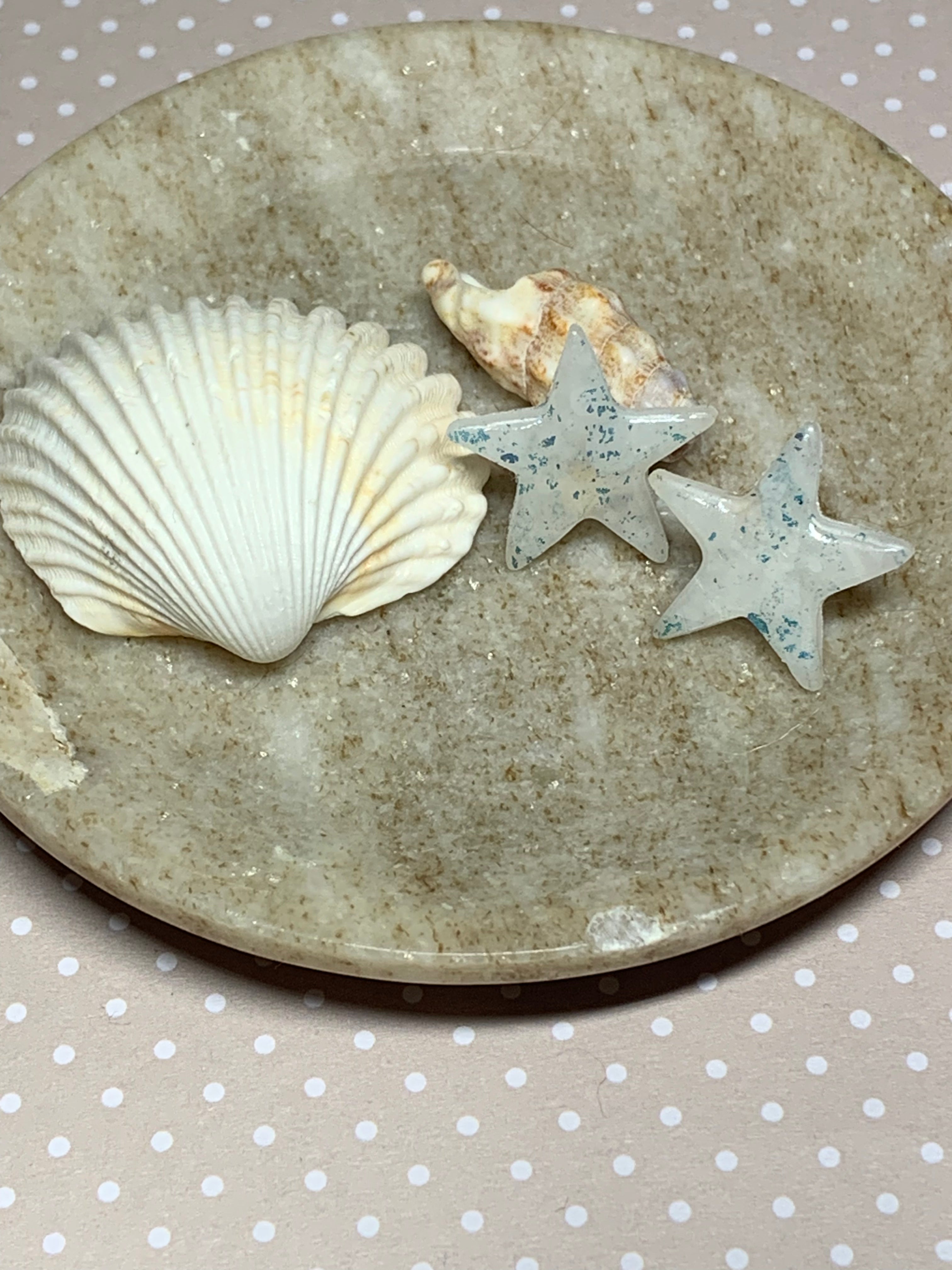 Bora-Bora Lagoon - Clous Etoiles d'Ecume